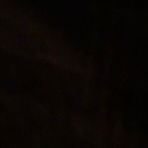 Meet your Posher, Albert